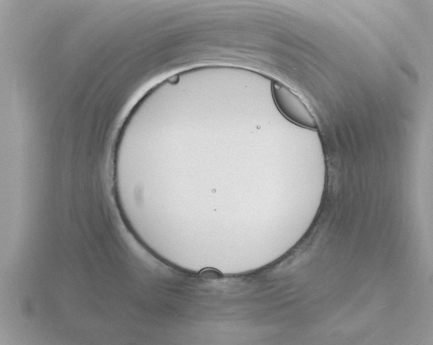 X0000115841531200912111322