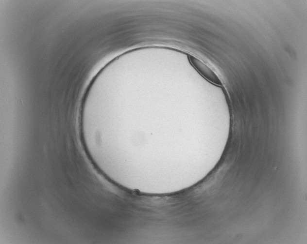 X0000115841533200912111322