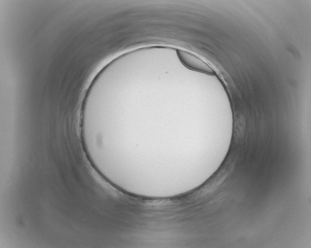 X0000115841535200912111322