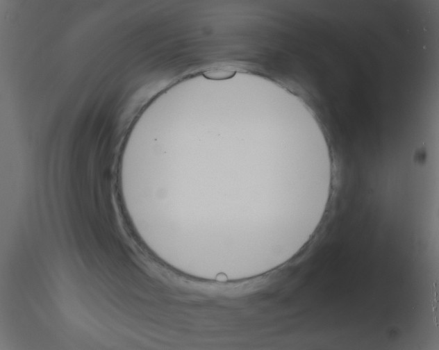 X0000115840001200912242026