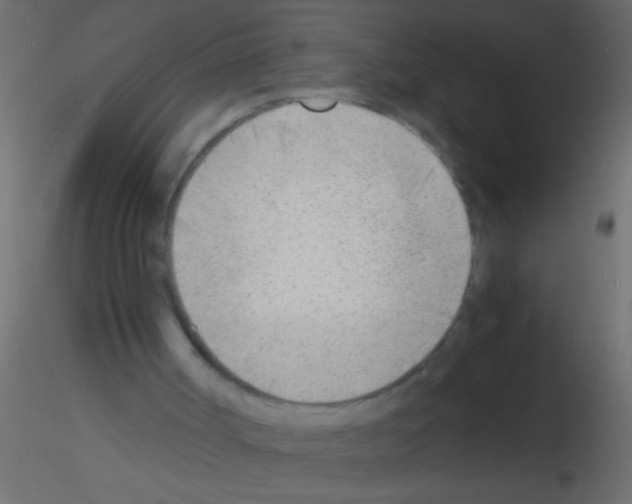 X0000115840002200912242026