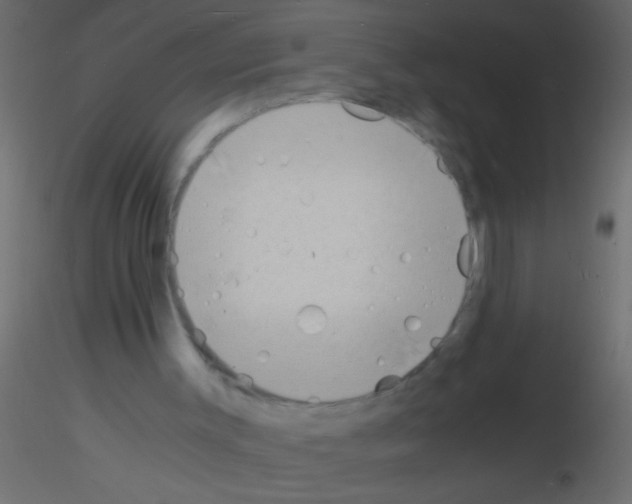 X0000115840003200912242026