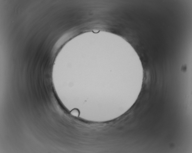 X0000115840004200912242026