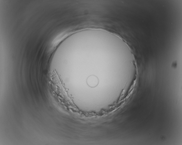 X0000115840005200912242026