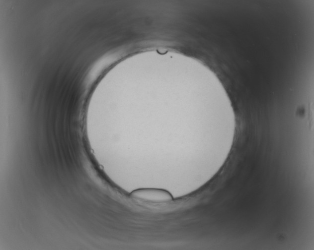 X0000115840006200912242026