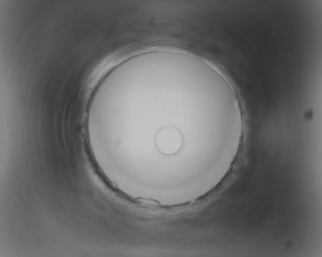 X0000115840007200912242026