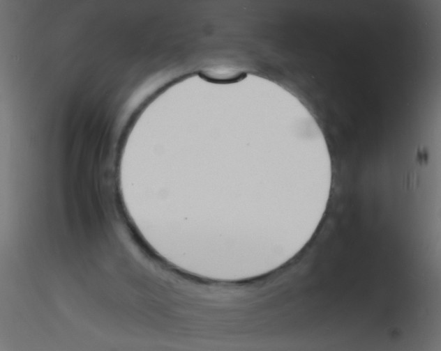 X0000115840008200912242026