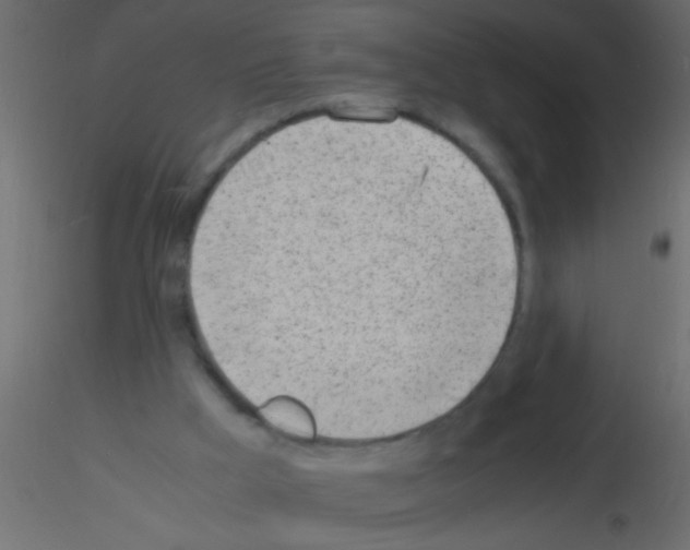 X0000115840009200912242026