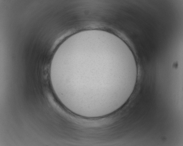 X0000115840010200912242026