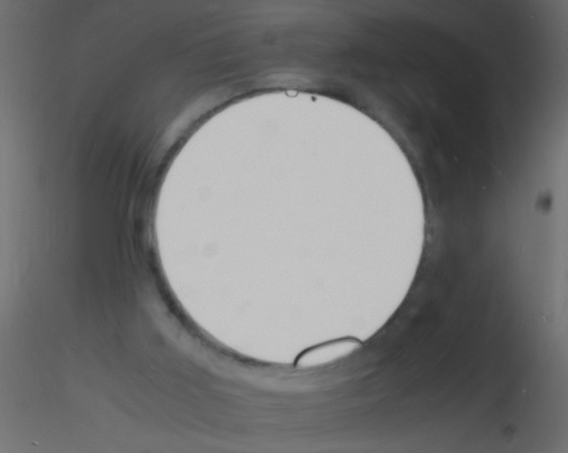 X0000115840011200912242026