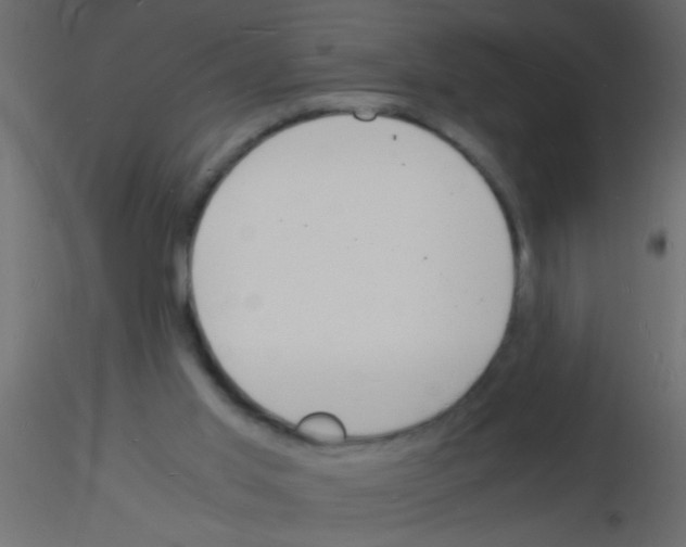 X0000115840013200912242026