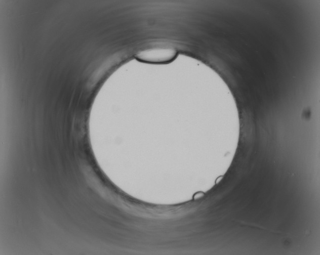 X0000115840015200912242026