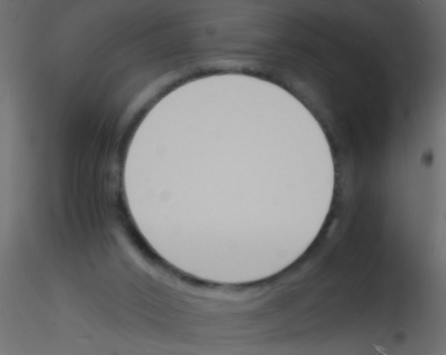 X0000115840016200912242026