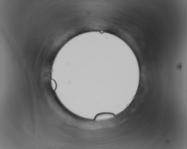 X0000115840017200912242026