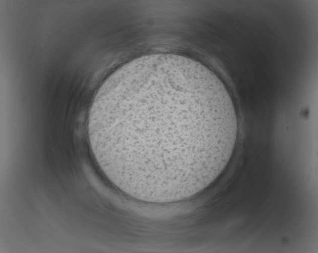 X0000115840018200912242026