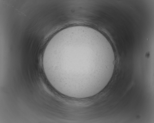 X0000115840020200912242026