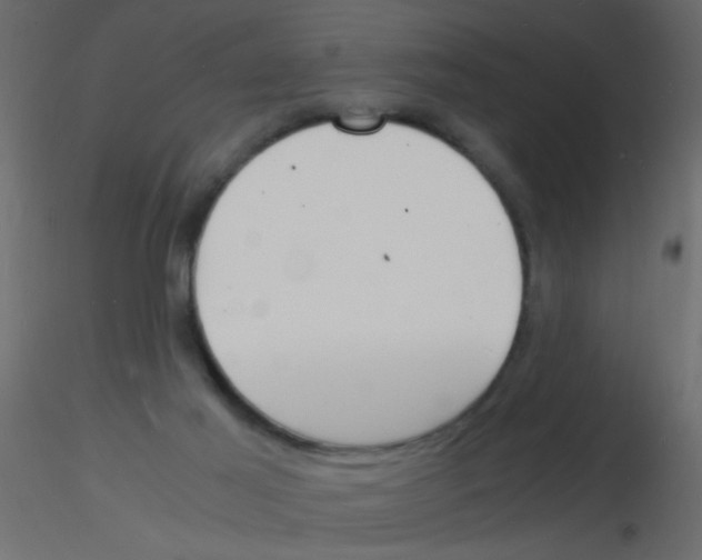 X0000115840021200912242026