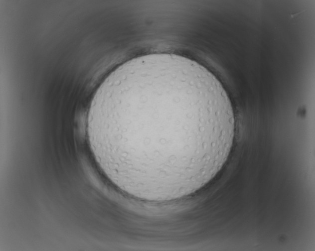 X0000115840022200912242026