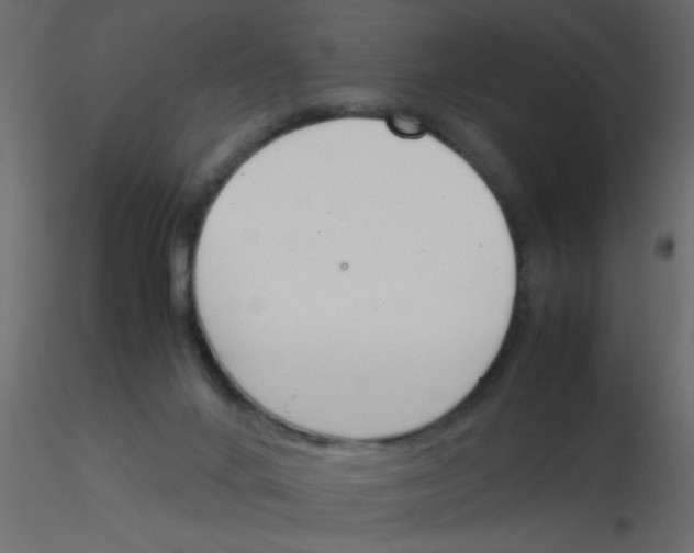 X0000115840024200912242026