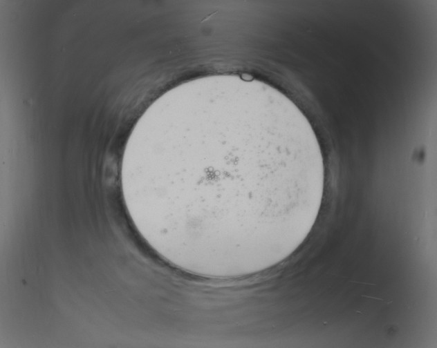 X0000115840025200912242026