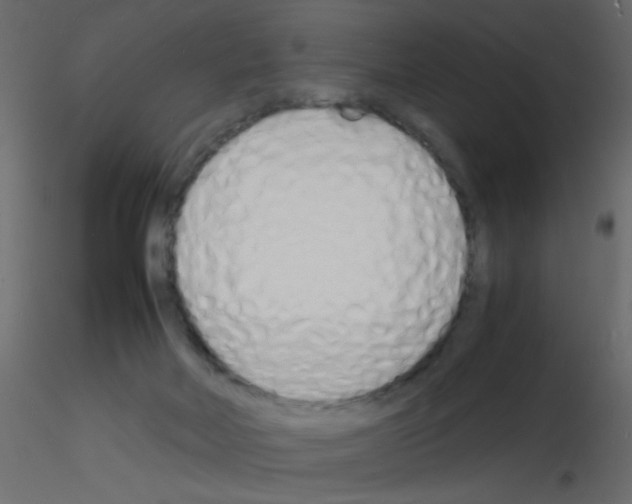 X0000115840026200912242026