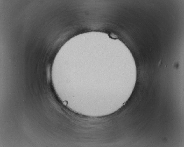 X0000115840028200912242026