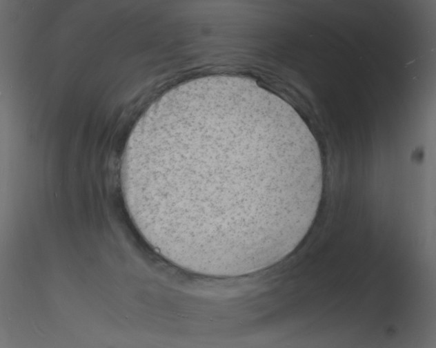 X0000115840029200912242026