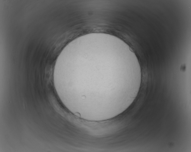 X0000115840030200912242026