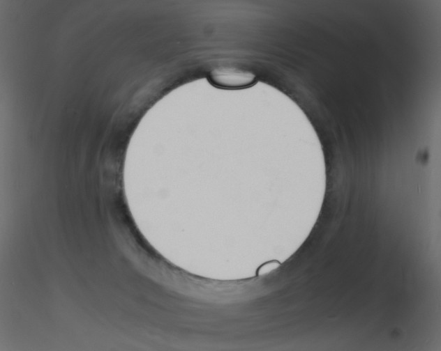 X0000115840031200912242026