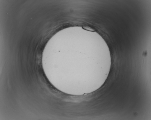 X0000115840033200912242026