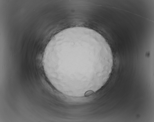 X0000115840034200912242026