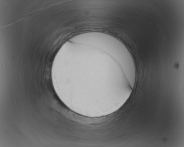 X0000115840035200912242026