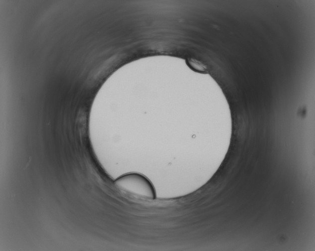 X0000115840036200912242026