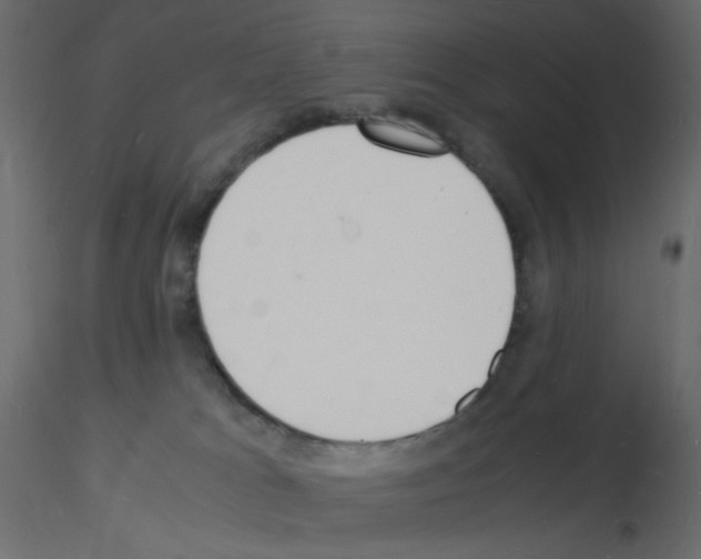 X0000115840037200912242026