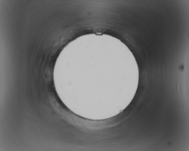 X0000115840039200912242026