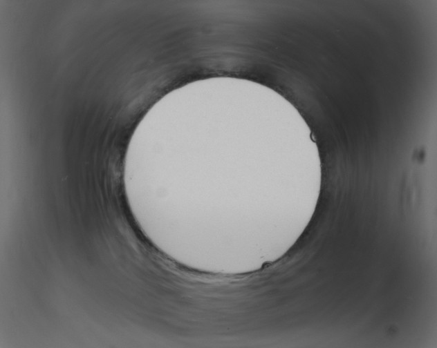 X0000115840040200912242026