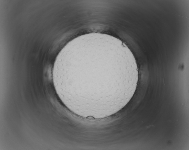 X0000115840042200912242026