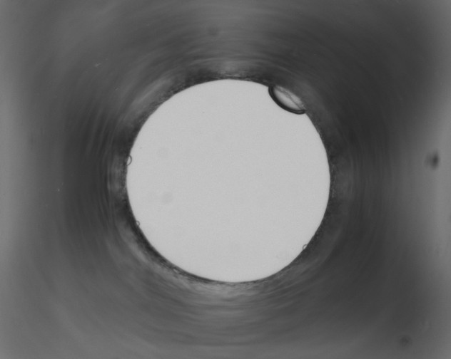 X0000115840044200912242026