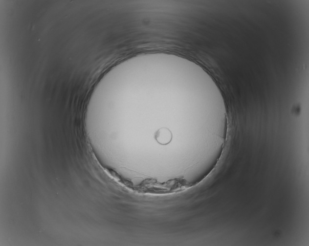 X0000115840045200912242026