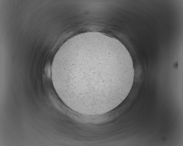 X0000115840046200912242026