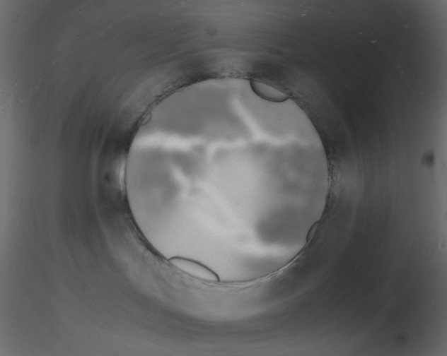 X0000115840047200912242026