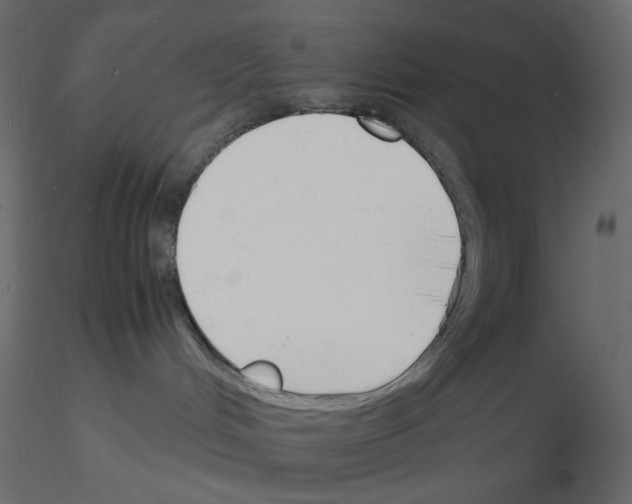 X0000115840048200912242026