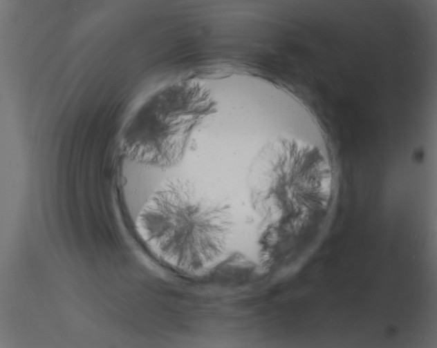 X0000115840049200912242025