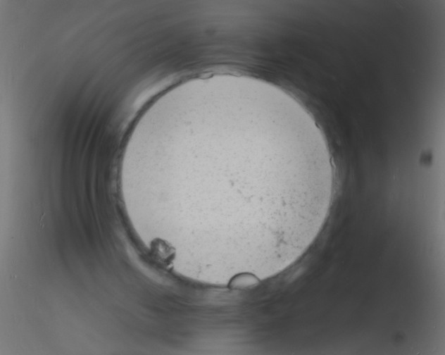 X0000115840050200912242025