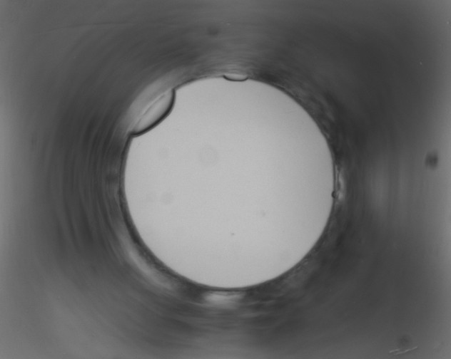 X0000115840051200912242025