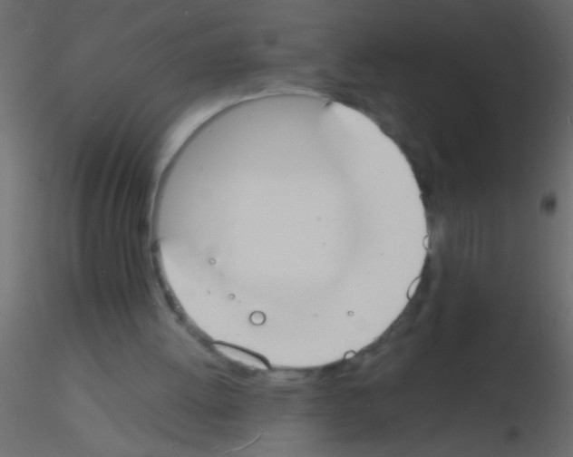 X0000115840052200912242025