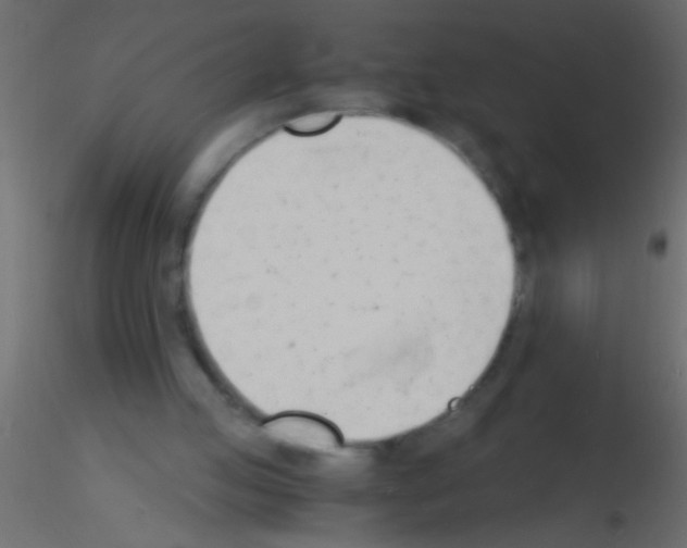 X0000115840053200912242025