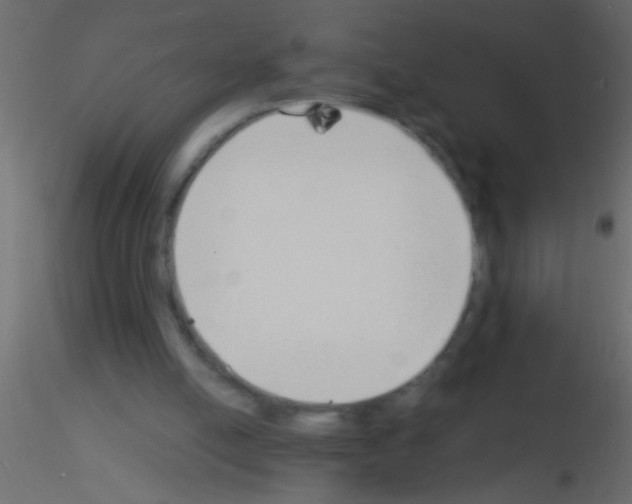 X0000115840054200912242025