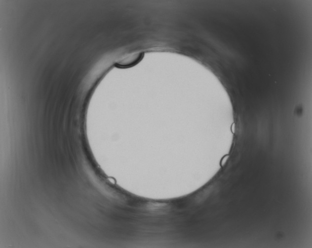 X0000115840055200912242025