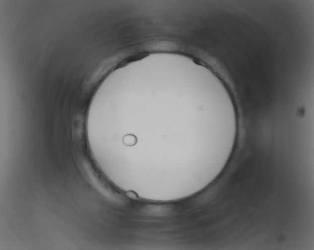 X0000115840057200912242025